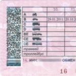 Новые российские водительские права: в чём отличие от старых?