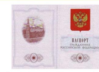 Проверка паспортов граждан РФ и СНГ на действительность и подлинность: все способы и нюансы